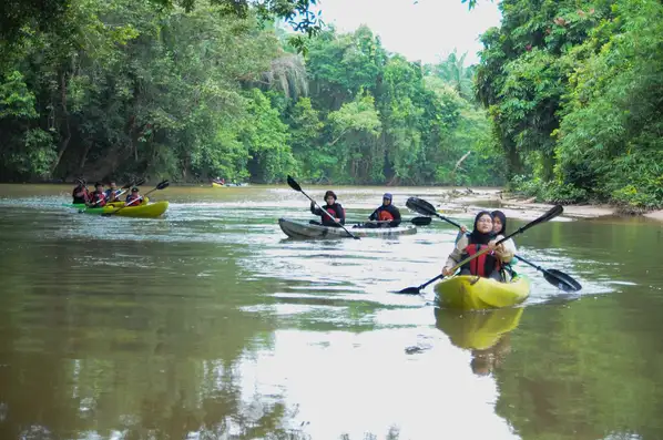Team kayaking on Sungai Berang river in Hulu Terengganu