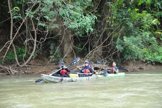 Kayaking through rainforest on Sungai Berang